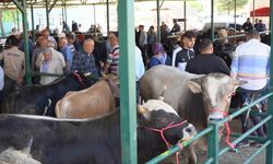 Kurban Bayramı Öncesi Isparta Hayvan Pazarlarında Yoğunluk