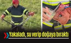Yılanı Önce Yakaladı Sonra Su Verip Doğaya Saldı
