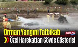 Orman Yangını Tatbikatında Özel Harekat Ekibi Gövde Gösterisi Yaptı