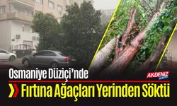 Osmaniye Düziçi’nde Fırtına Ağaçları Yerinden Söktü
