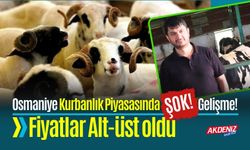 Osmaniye Kurbanlık Piyasasında Sabit Fiyat Yok!