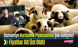 Osmaniye Kurbanlık Piyasasında Sabit Fiyat Yok!