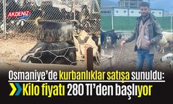 Osmaniye’de kurbanlıklar satışa sunuldu: Kilo fiyatı 280 Tl’den başlıyor