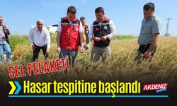 Sel Felaketi Sonrası Tarım Arazilerinde Hasar Tespitine Başlandı