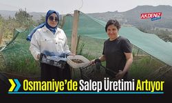 İyi Tarım Uygulamalarıyla Salep Verimi Katlandı