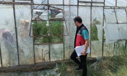 Serik'te Sağanak ve Dolu Hasarı İçin Tespit Çalışması Başlatıldı