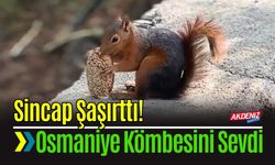 Sincabın bayram kömbesi yemesi gülümsetti