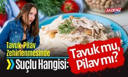 Tavuk Pilav Zehirlenmesinde Suçlu Hangisi: Tavuk mu, Pilav mı?