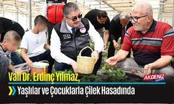 Vali Yılmaz, Yaşlılar ve Çocuklarla Çilek Hasadı Yaptı