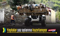 Zorkun ve Olukbaşı yaylalarında yoğun çalışma