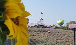 Osmaniye'de Lavanta ve Zeytin Çiçeği Festivali Başlıyor