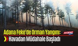 Adana Feke'de Orman Yangını: Havadan Müdahale Başladı