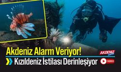 Akdeniz Alarm Veriyor! Kızıldeniz İstilası Derinleşiyor