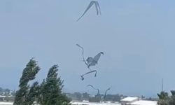 Antalya Serik'te Hortum Seradan Geçti