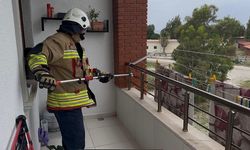 Arsuz'da Yılan Paniği İtfaiye Ekipleri Tarafından Giderildi