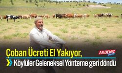 Çoban Ücretleri El Yakıyor, Köylüler Çözümü Geleneksel Yöntemde Buldu