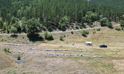 Isparta Yaylalarında Arıların Şenliği: Bal Hasadı Başlıyor