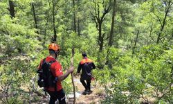 Kaybolan Yaşlı Adamı Arama Çalışmaları 7 Gündür Devam Ediyor