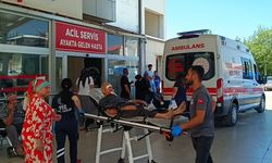 Kozan'da Ağaç Budarken Düşen Adam Yaralandı