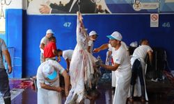 Kurban Kesimi, Ulaşım ve Mezarlık Ziyaretlerinde Ücretsiz Hizmet