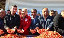Manisa Tarım İhracatında Artış: İlk 5 Ayda 399 Milyon Doları Aştı