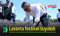 Osmaniye'de Lavanta Festivali Renkli Görüntülere Sahne Oldu