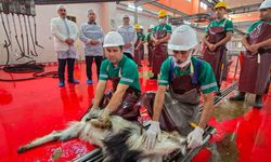 Mersin’de Şehitler Kurban Kesilerek Anıldı
