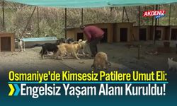 Osmaniye'de İhtiyaç Sahibi Can Dostlara Sıcak Yuva