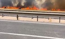 Şanlıurfa'da Büyük Yangın: 100 Dönüm Buğday Tarlası Kül Oldu