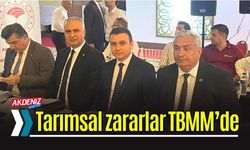 Osmaniye'deki Don Felaketi Meclis Gündeminde