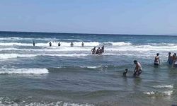 Tekirdağ'da Deniz Dalgası Can Aldı