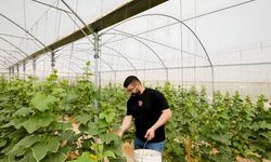 TİKA, Filistin’de Üretim Tesisleri Kuruyor