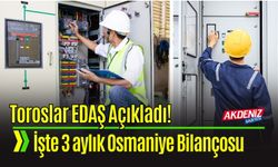 Osmaniye'nin Enerji Altyapısı Güçleniyor