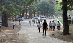 Yavşan Yaylası'nda Bayram Yoğunluğu