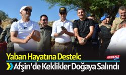 Yaban Hayatına Destek: Afşin’de Keklikler Doğaya Salındı