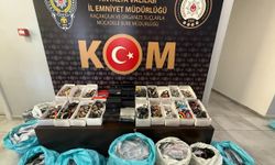 Antalya'da Kaçakçılık ve Organize Suçlarla Mücadele Operasyonları