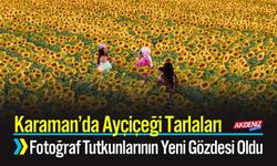 Karaman’da Ayçiçeği Tarlaları Fotoğraf Tutkunlarının Yeni Gözdesi Oldu