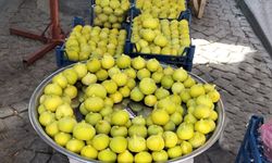 Aydın İnciri Pazara Çıktı: Kilosu 250 TL