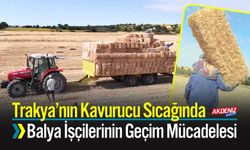 Trakya’nın Kavurucu Sıcağında Balya İşçilerinin Geçim Mücadelesi