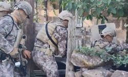 Bitlis Merkezli 6 İlde Suç Örgütü Operasyonu