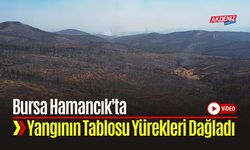 Bursa Hamancık'ta Yangının Tablosu Yürekleri Dağladı