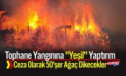 Tophane Yangınına "Yeşil" Yaptırım: Ceza Olarak 50'şer Ağaç Dikecekler