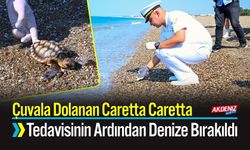 Çuvala Dolanan Caretta Caretta Tedavisinin Ardından Denize Bırakıldı