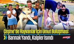 Çeşme’de Hayvanlar İçin Umut Buluşması: Barınak Yandı, Kalpler Isındı