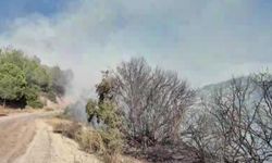 Ceyhan'da Orman Yangınına Havadan ve Karadan Müdahale