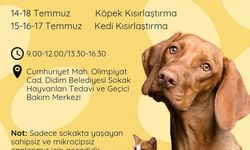 Didim Belediyesi'nden Sokak Hayvanları İçin Ücretsiz Kısırlaştırma