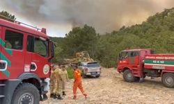 Eskişehir'de Orman Bölge Müdürü Alevlerin Arasında Kaldı