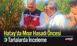Hatay’da Mısır Hasadı Öncesi Tarlalarda İnceleme
