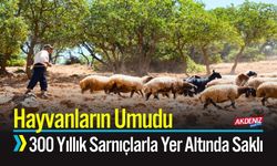 Hayvanların Umudu 300 Yıllık Sarnıçlarla Yer Altında Saklı