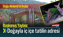 Doğu Akdeniz’in İncisi Başkonuş Yaylası: Doğayla iç içe Tatilin Adresi